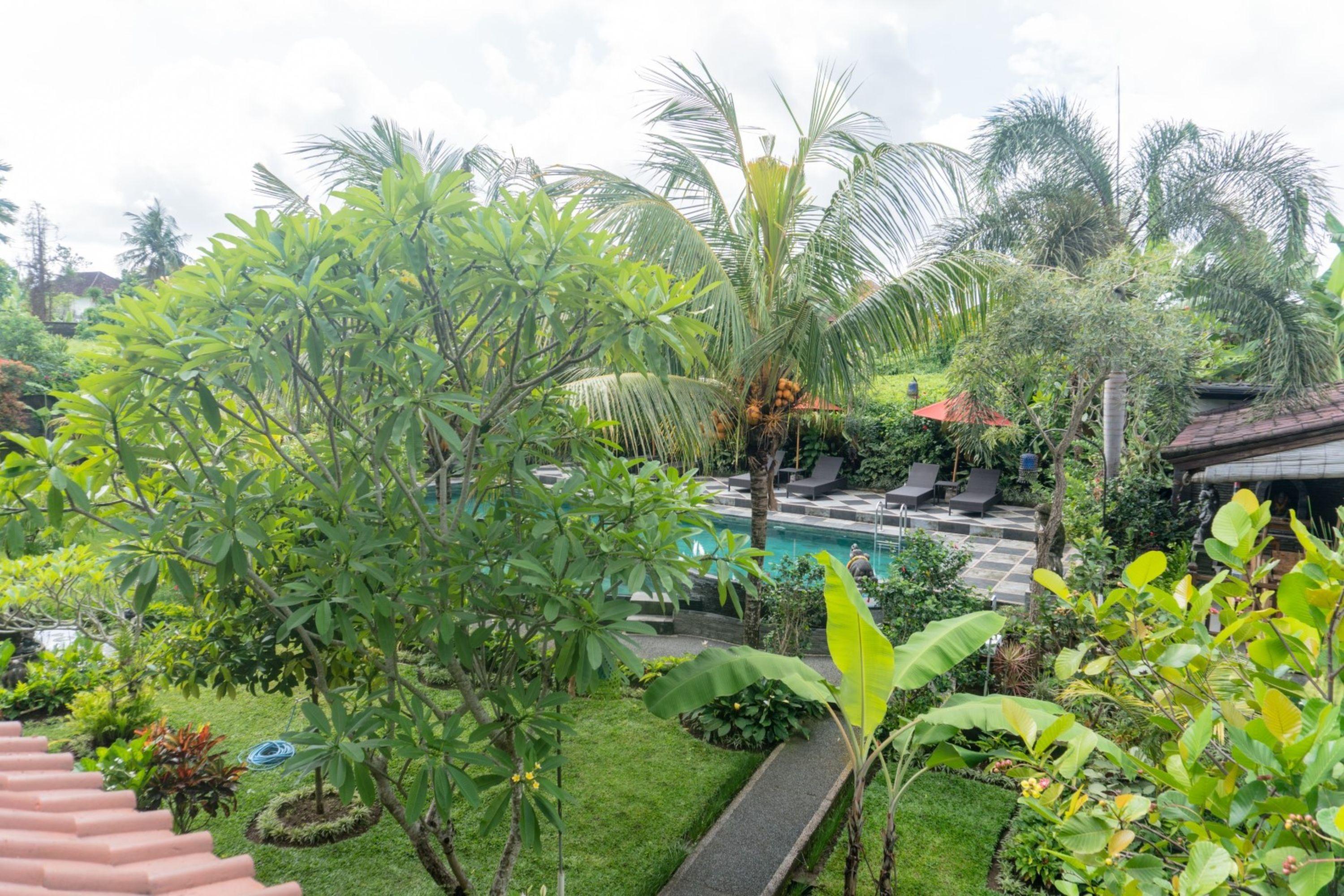 Bucu Guest House Ubud  Exterior photo