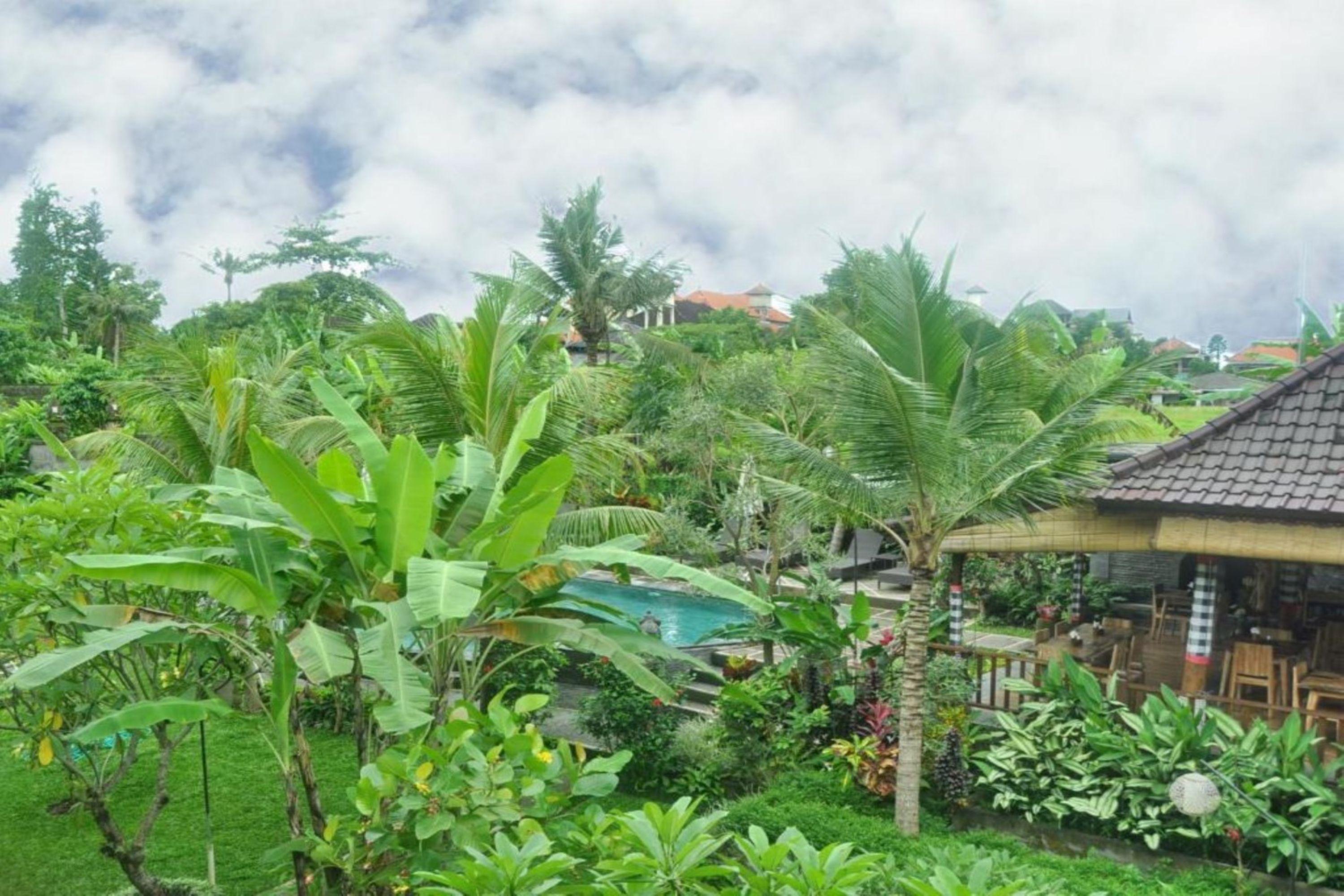 Bucu Guest House Ubud  Exterior photo